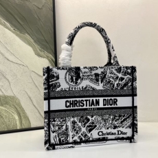 Christian Dior Shopping Bags